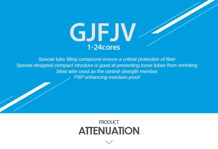 2 Core / 4 Core G. 657A2 Indoor Fiber Optic Cable Gjfjh G657 Fiber Cable