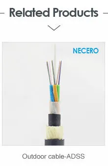 2 Core / 4 Core G. 657A2 Indoor Fiber Optic Cable Gjfjh G657 Fiber Cable