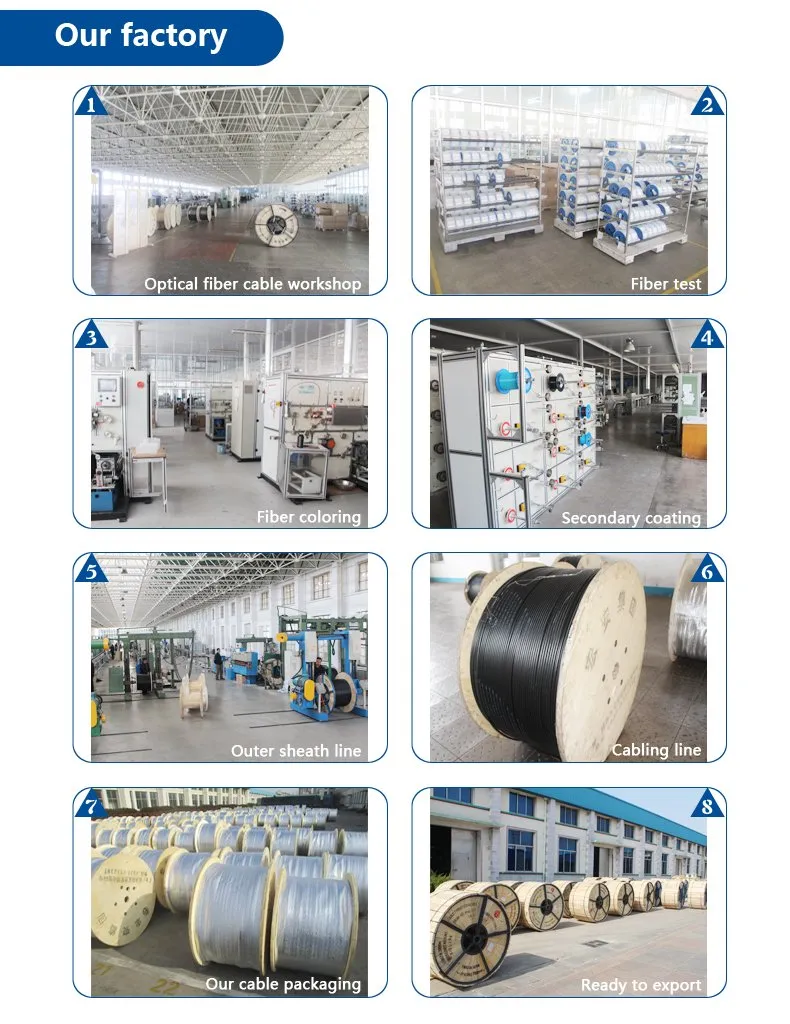 252 Core Duct Fiber Ribbon Cable with Best Price Gydxtw