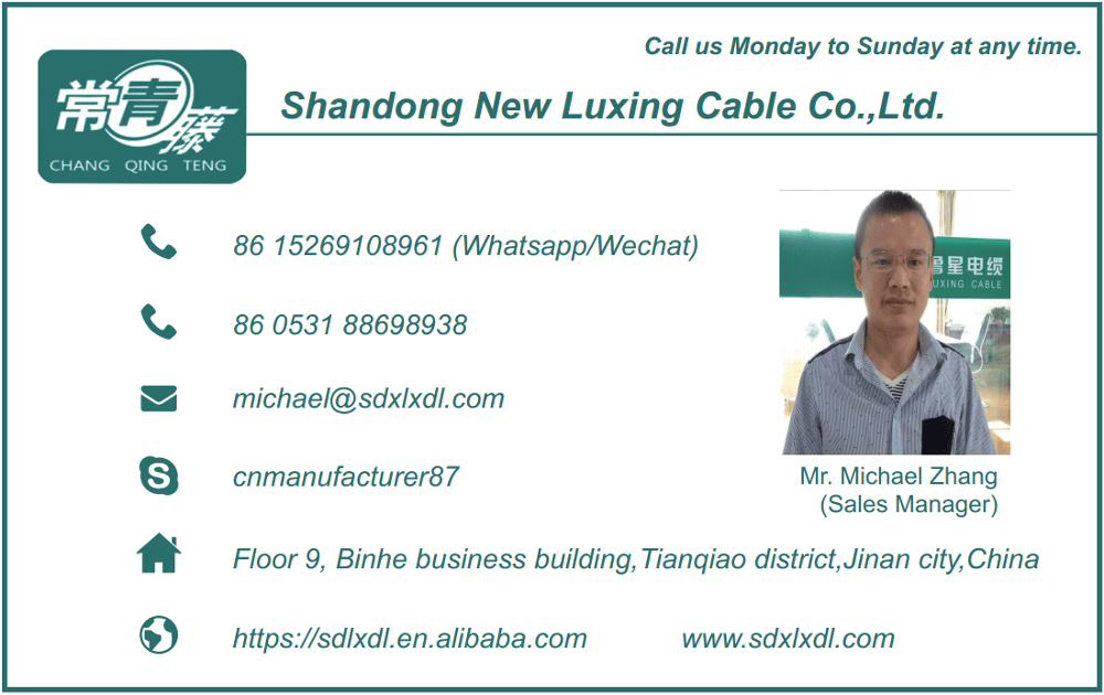 300 300V Rvvp Shielded Flexible Cable/300 300V Avvr Cable/IEC 52 Rvv 300/300V Cable