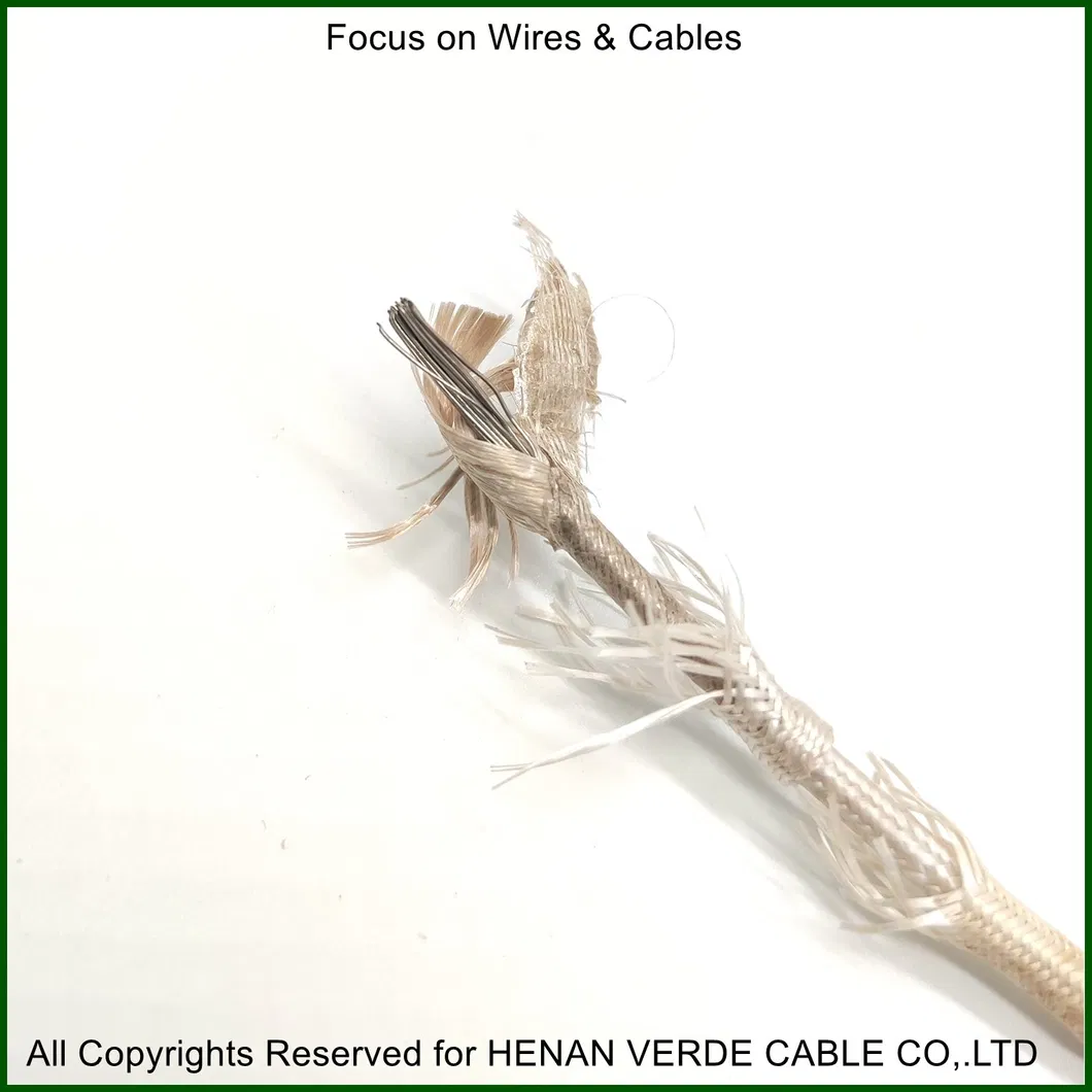 AWG 19 Heat Resistant Installation PTFE Electrial Electric Wire for Building