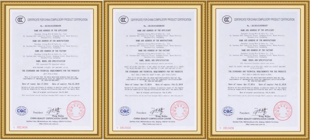 BS6004 BS En/IEC 60332-1-2 Fixed Installation Domestic and Light Industrial Double PVC Insulated Building Wiring Cable