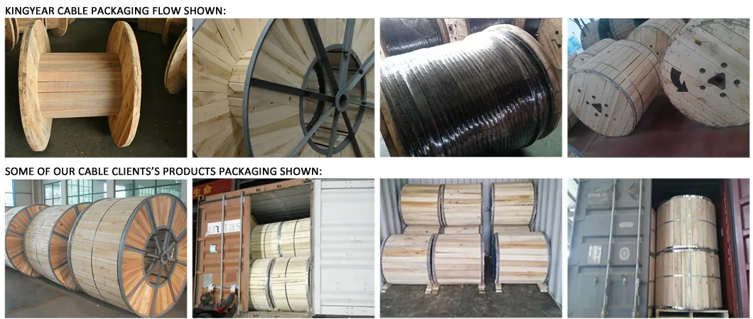 Factory Price Best ACSR Duck 605 Mcm Conductor ACSR Electrical Power Cable for Overhead Transmission