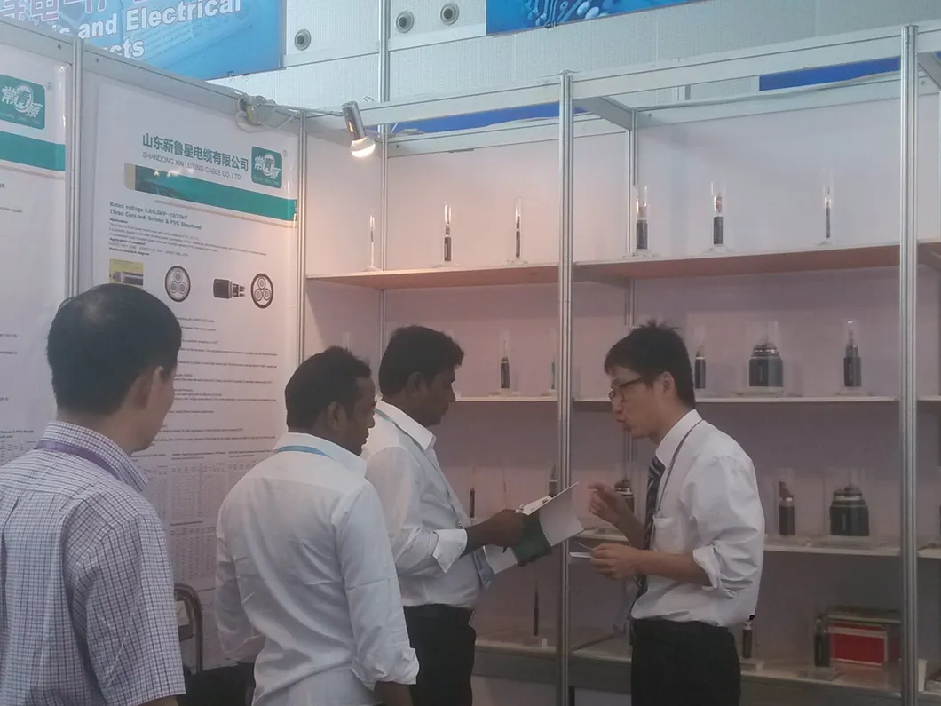 High Quality Low Voltage Power Cable for Solar PV System