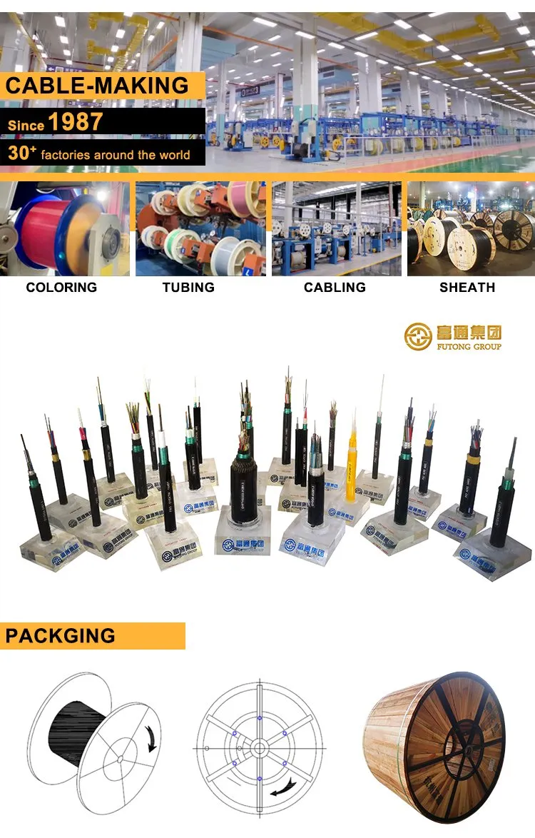 High Quality Outdoor 6f 24f 48f Fig. 8 Aerial Water Blocking Armored Fiber Optic Cable GYTC8S/Gytc8y53