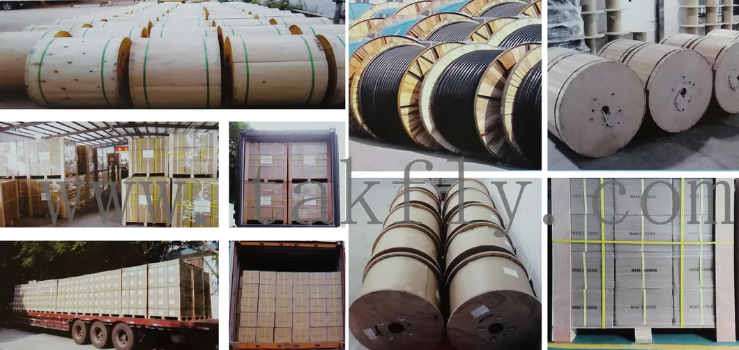 Indoor 62.5/125 Multimode Duplex Figure 8 Structure Fiber Optic Cable