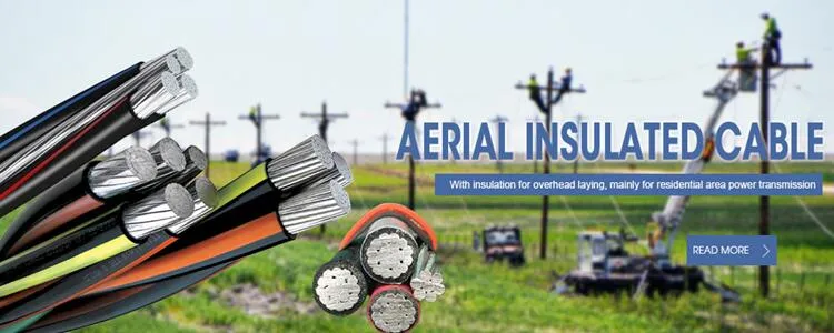 Low Voltage Aluminum Conductor 2*16mm 3*50mm ABC Power Cable Overhead XLPE Insulation Electrical Wire