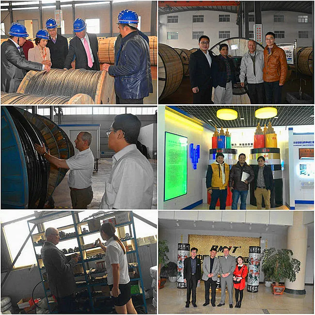 Manufacturer All Aluminium Alloy Conductor-AAAC Conductor with BS EN50183