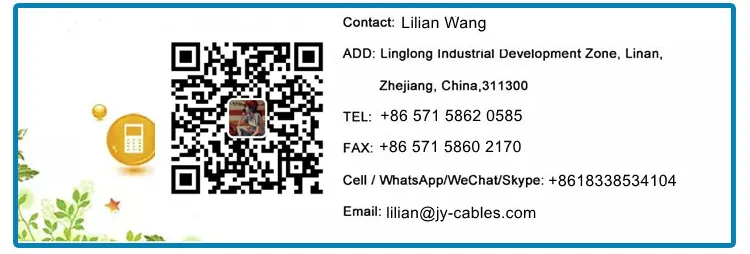 Outdoor Waterproof Armoured FTTH Drop Cable 2fo F657A LSZH Jacket Drop Cable FTTH