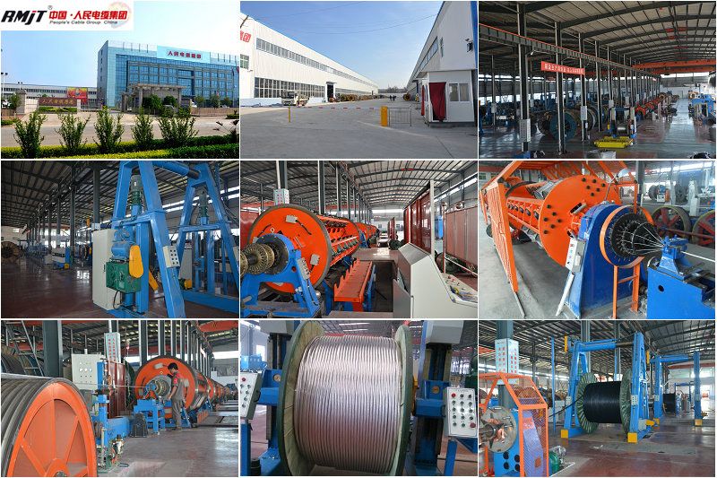 BS ASTM GB IEC Aw AAC AAAC Standards Aluminum Alloy Conductor Steel Reinforced Overhead Electric Powe Wire Cable Bare Aluminumr Overhead Conductor ACSR