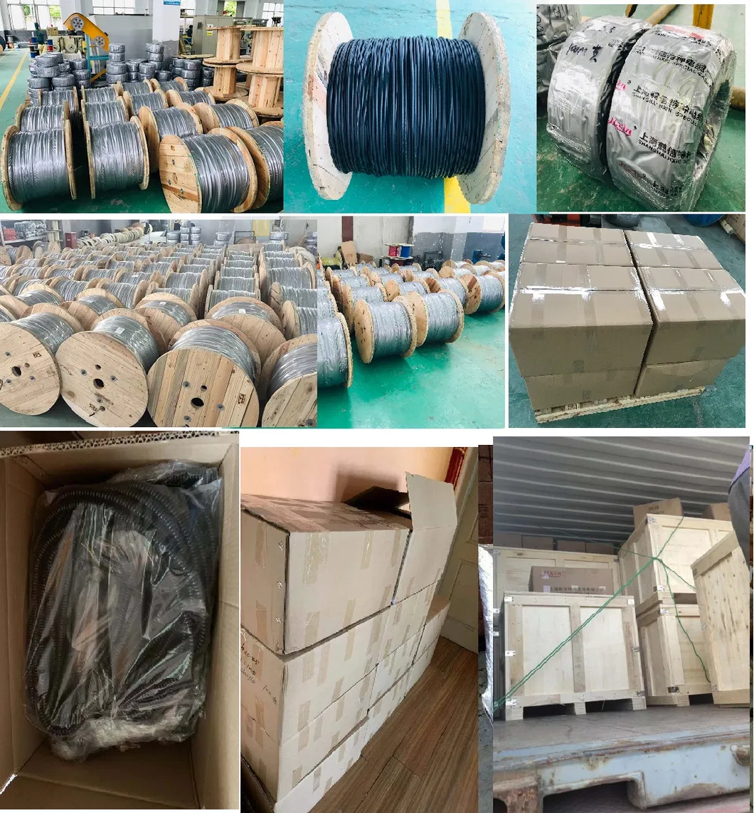 PVC Data Cable Self-Extinguishing and Flame Retardant According to En 60332-1-2 Electric Cable