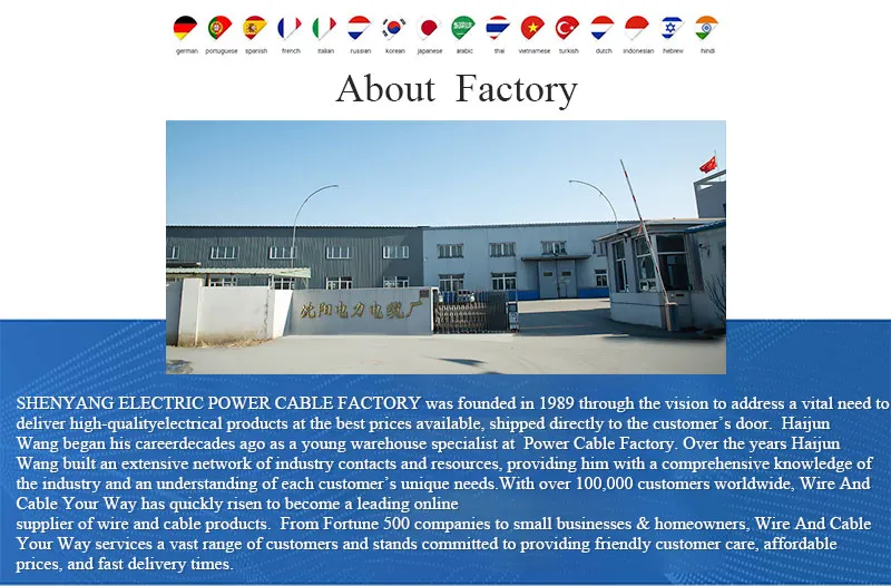 Shenguan Cy LSZH Control Cable, 300/500 V, Flexible Cu/Hf/Petp/Tcwb/LSZH (BS 6500/BS EN 50525-3-11) 16mm 4 Core Rubber Insulated Power Cable