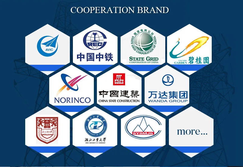 Shenguan Cy LSZH Control Cable, 300/500 V, Flexible Cu/Hf/Petp/Tcwb/LSZH (BS 6500/BS EN 50525-3-11) 16mm 4 Core Rubber Insulated Power Cable