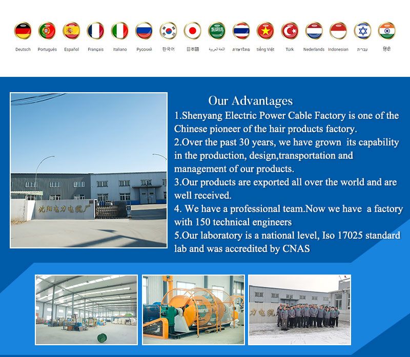 Shenguan Factory Supply 30V Awm UL2725 Multi Core Shielded Control Cable Shielded Control Power Electronic Cable Wire PVC Copper Cable Electric Cable