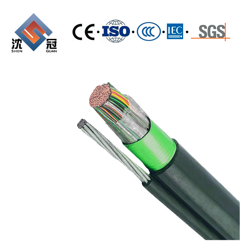 Shenguan RoHS PVC 2 Core Shielded Wire Speaker Flexible Signal Cable with Audio Connector Speakon EPDM Insulation Cm Sheath Trailing Coaxial Cable Mineral