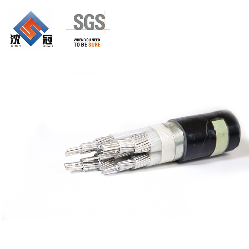 Shenguan Wire Cable Low Voltage Cable 300V 500V 450/750V 600V 2.5mm 12AWG Electrical Cable Price Control Cable