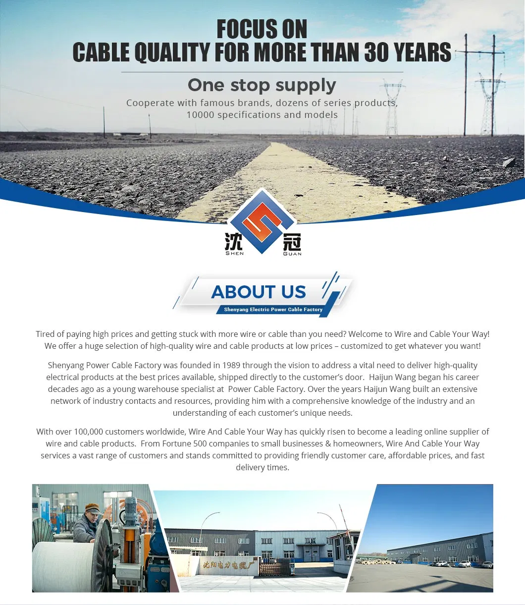 Shenguan Wire Cable Low Voltage Cable 300V 500V 450/750V 600V 2.5mm 12AWG Electrical Cable Price Control Cable