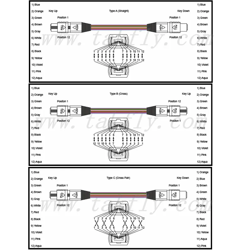 Singlemode MPO 12 Fiber Branch Cable Optical Fiber Patchcord